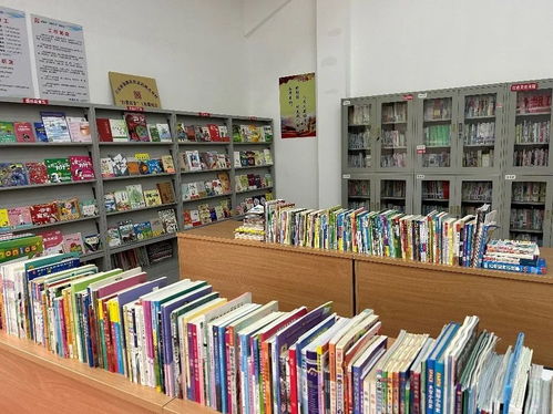 愛心傳遞 知識傳承，華潤三九員工為金寨華潤希望小鎮(zhèn)青少年捐獻圖書